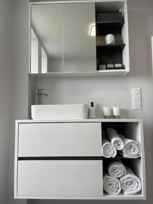 Apartamento T3 En Centre-ville De Thonon-les-Bains
